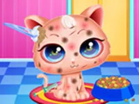 Cute Kitty Care - Pet Makeover image