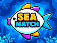 Sea Match image