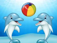 Dolphin Show image