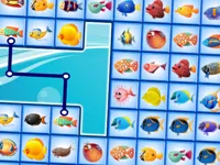 Fish Connections image