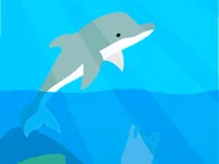 Dolphin Life image